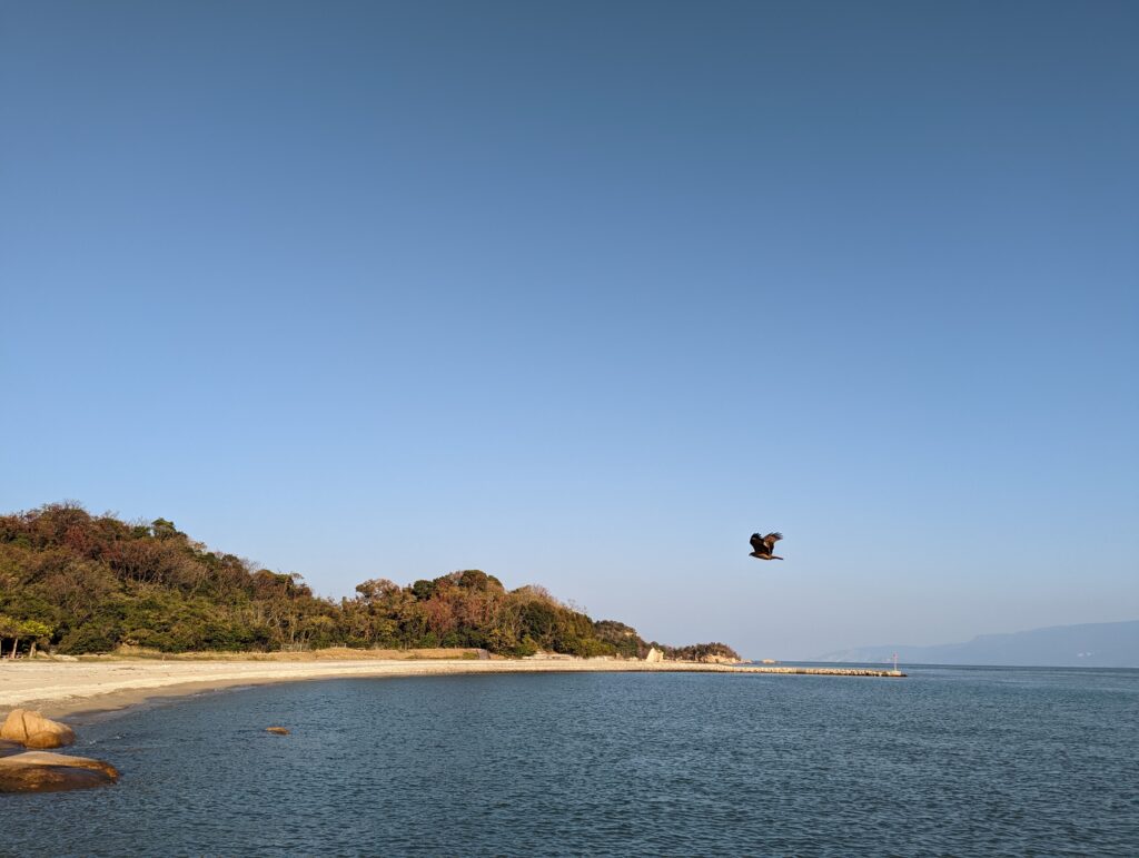 犬島の海岸