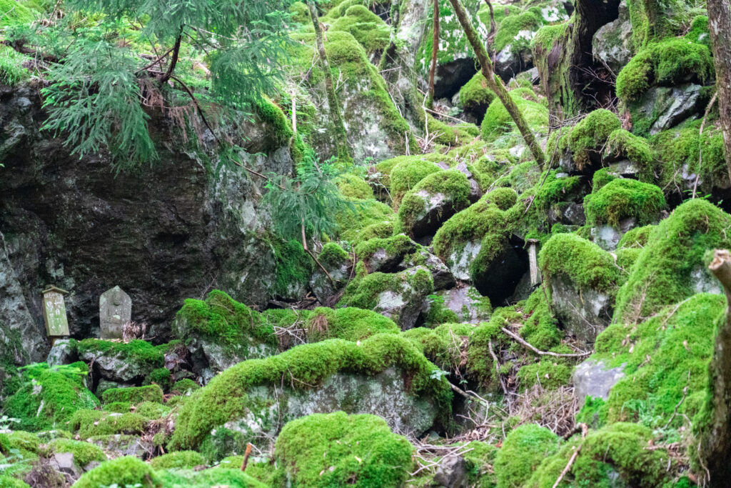 山犬嶽