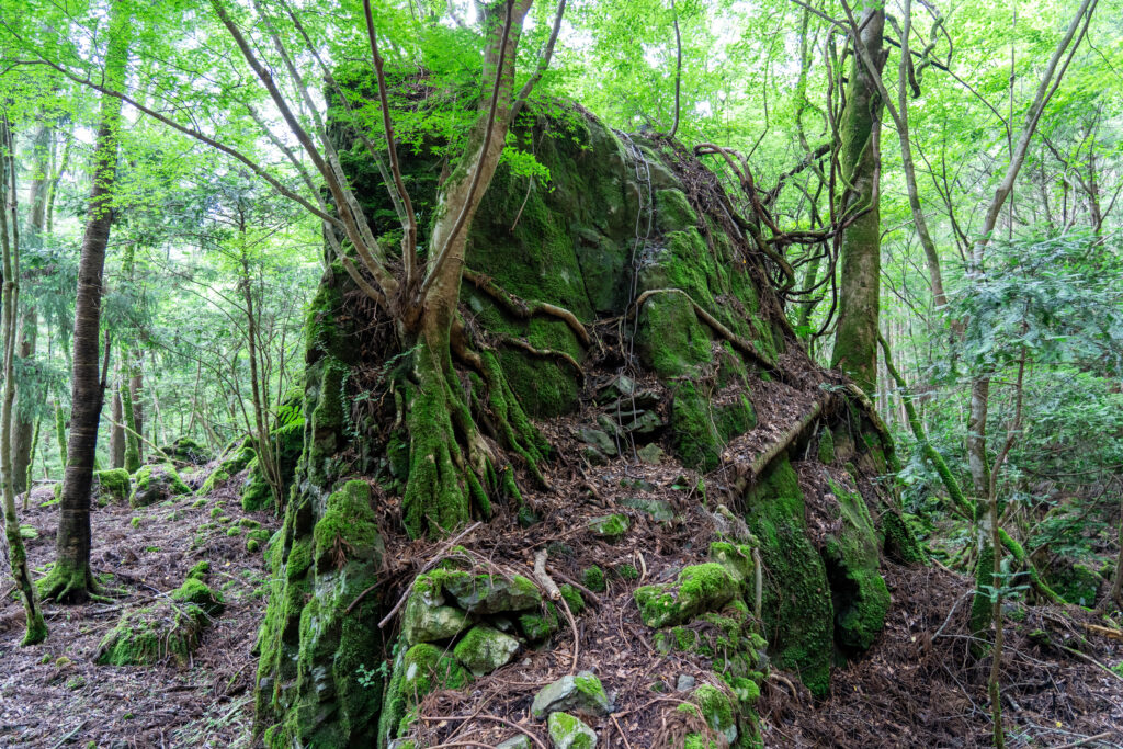 石槌神社